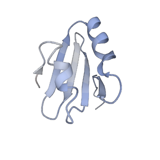 7025_6az3_k_v2-0
Cryo-EM structure of of the large subunit of Leishmania ribosome bound to paromomycin