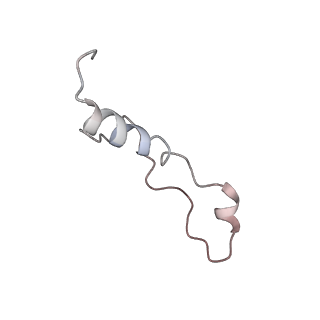 7025_6az3_l_v1-1
Cryo-EM structure of of the large subunit of Leishmania ribosome bound to paromomycin