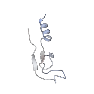 7025_6az3_m_v1-1
Cryo-EM structure of of the large subunit of Leishmania ribosome bound to paromomycin