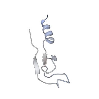 7025_6az3_m_v2-0
Cryo-EM structure of of the large subunit of Leishmania ribosome bound to paromomycin
