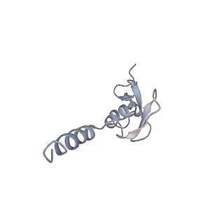 7025_6az3_o_v2-0
Cryo-EM structure of of the large subunit of Leishmania ribosome bound to paromomycin