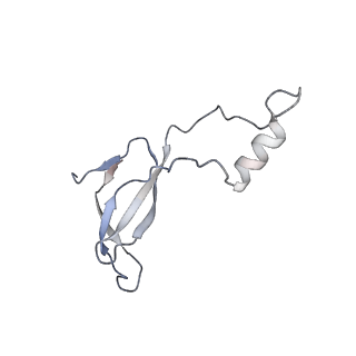 7025_6az3_p_v1-1
Cryo-EM structure of of the large subunit of Leishmania ribosome bound to paromomycin