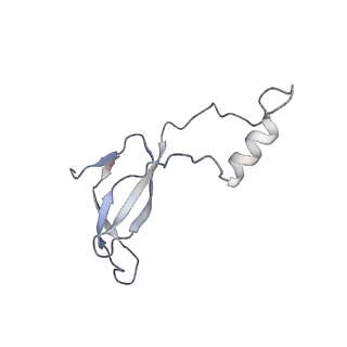 7025_6az3_p_v2-0
Cryo-EM structure of of the large subunit of Leishmania ribosome bound to paromomycin