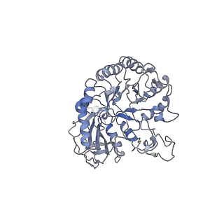 11952_7b00_B_v2-0
Human LAT2-4F2hc complex in the apo-state
