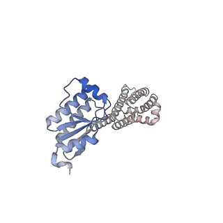 11971_7b0u_7_v1-1
Stressosome complex from Listeria innocua