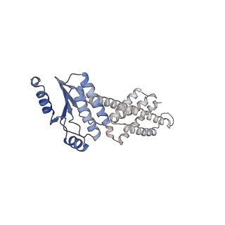 11971_7b0u_C_v1-1
Stressosome complex from Listeria innocua
