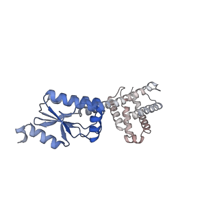 11971_7b0u_G_v1-1
Stressosome complex from Listeria innocua