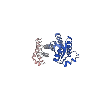 11971_7b0u_J_v1-1
Stressosome complex from Listeria innocua