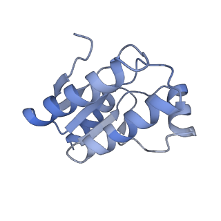 11971_7b0u_U_v1-1
Stressosome complex from Listeria innocua