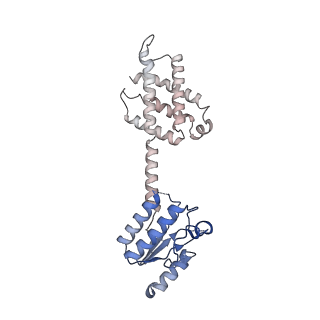11971_7b0u_Z_v1-1
Stressosome complex from Listeria innocua