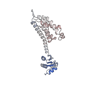 11971_7b0u_c_v1-1
Stressosome complex from Listeria innocua