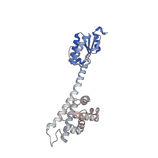 11971_7b0u_f_v1-1
Stressosome complex from Listeria innocua