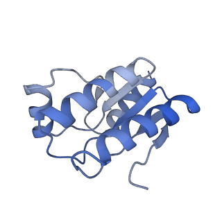 11971_7b0u_j_v1-1
Stressosome complex from Listeria innocua