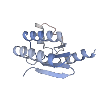 11971_7b0u_m_v1-1
Stressosome complex from Listeria innocua