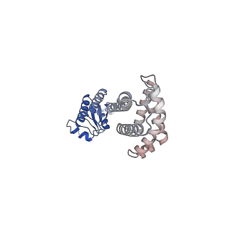 11971_7b0u_n_v1-1
Stressosome complex from Listeria innocua