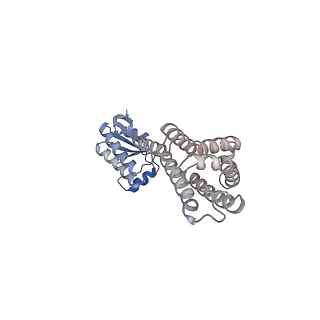 11971_7b0u_s_v1-1
Stressosome complex from Listeria innocua