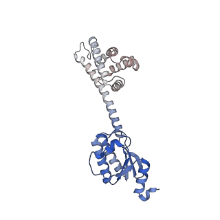 11971_7b0u_u_v1-1
Stressosome complex from Listeria innocua
