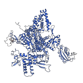 11972_7b0y_A_v1-1
Structure of a transcribing RNA polymerase II-U1 snRNP complex