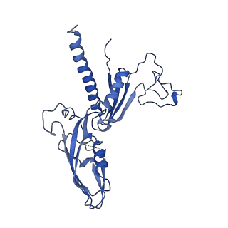 11972_7b0y_C_v1-1
Structure of a transcribing RNA polymerase II-U1 snRNP complex