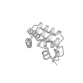 11972_7b0y_D_v1-1
Structure of a transcribing RNA polymerase II-U1 snRNP complex