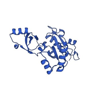 11972_7b0y_E_v1-1
Structure of a transcribing RNA polymerase II-U1 snRNP complex