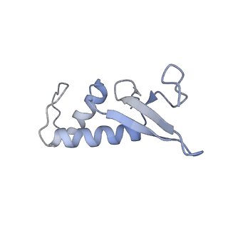 11972_7b0y_F_v1-1
Structure of a transcribing RNA polymerase II-U1 snRNP complex