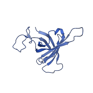 11972_7b0y_H_v1-1
Structure of a transcribing RNA polymerase II-U1 snRNP complex