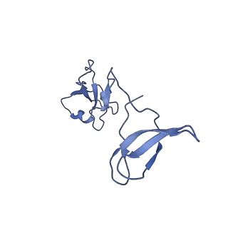11972_7b0y_I_v1-1
Structure of a transcribing RNA polymerase II-U1 snRNP complex