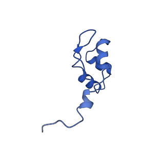 11972_7b0y_J_v1-1
Structure of a transcribing RNA polymerase II-U1 snRNP complex