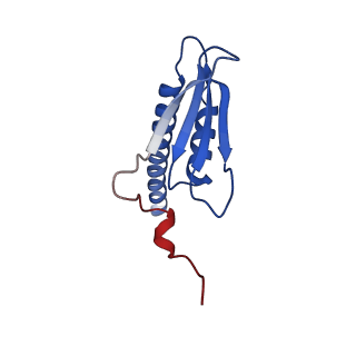 11972_7b0y_K_v1-1
Structure of a transcribing RNA polymerase II-U1 snRNP complex