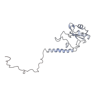 11972_7b0y_b_v1-1
Structure of a transcribing RNA polymerase II-U1 snRNP complex