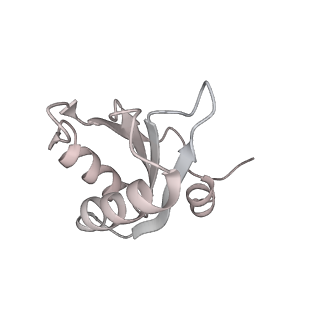 11972_7b0y_c_v1-1
Structure of a transcribing RNA polymerase II-U1 snRNP complex