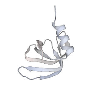 11972_7b0y_g_v1-1
Structure of a transcribing RNA polymerase II-U1 snRNP complex