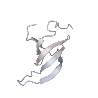 11972_7b0y_h_v1-1
Structure of a transcribing RNA polymerase II-U1 snRNP complex