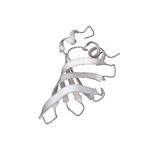 11972_7b0y_i_v1-1
Structure of a transcribing RNA polymerase II-U1 snRNP complex