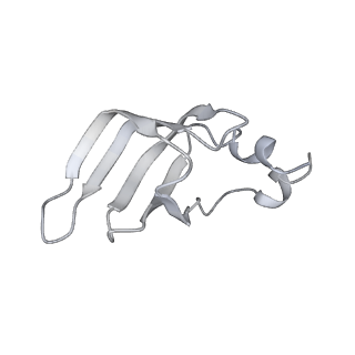 11972_7b0y_k_v1-1
Structure of a transcribing RNA polymerase II-U1 snRNP complex