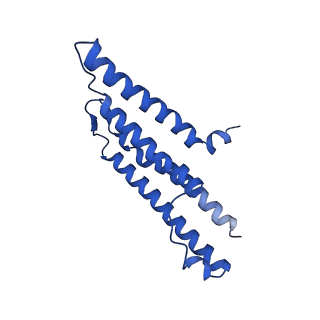 15775_8b01_A_v1-0
Cryo-EM structure of the Tripartite ATP-independent Periplasmic (TRAP) transporter SiaQM from Photobacterium profundum in a nanodisc