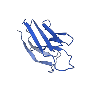 15775_8b01_C_v1-0
Cryo-EM structure of the Tripartite ATP-independent Periplasmic (TRAP) transporter SiaQM from Photobacterium profundum in a nanodisc