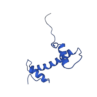 15777_8b0a_B_v1-0
Cryo-EM structure of ALC1 bound to an asymmetric, site-specifically PARylated nucleosome