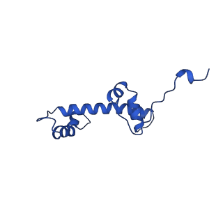 15777_8b0a_C_v1-0
Cryo-EM structure of ALC1 bound to an asymmetric, site-specifically PARylated nucleosome