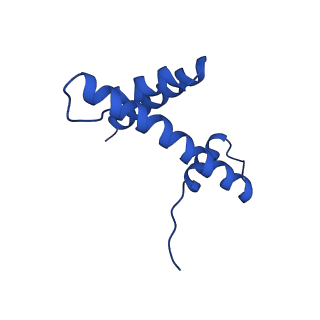 15777_8b0a_D_v1-0
Cryo-EM structure of ALC1 bound to an asymmetric, site-specifically PARylated nucleosome