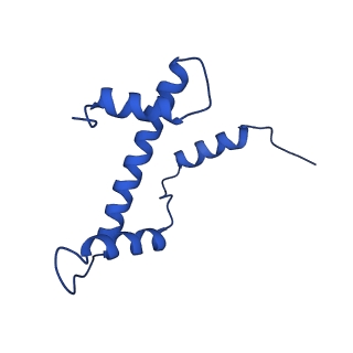 15777_8b0a_E_v1-0
Cryo-EM structure of ALC1 bound to an asymmetric, site-specifically PARylated nucleosome
