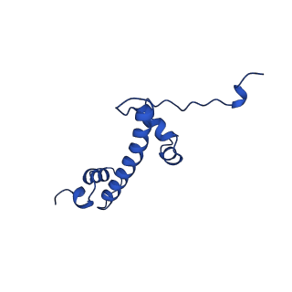 15777_8b0a_G_v1-0
Cryo-EM structure of ALC1 bound to an asymmetric, site-specifically PARylated nucleosome