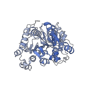 15777_8b0a_K_v1-0
Cryo-EM structure of ALC1 bound to an asymmetric, site-specifically PARylated nucleosome