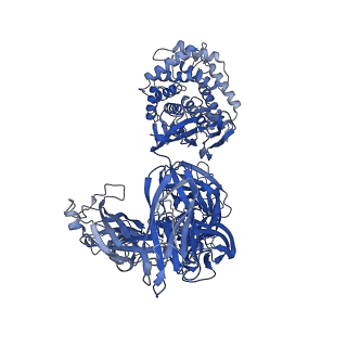 15779_8b0f_A_v1-1
CryoEM structure of C5b8-CD59