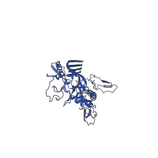 15779_8b0f_D_v1-1
CryoEM structure of C5b8-CD59