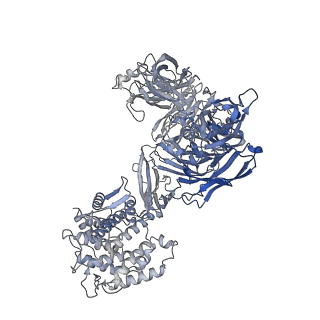 15781_8b0h_A_v1-1
2C9, C5b9-CD59 cryoEM structure