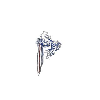 15781_8b0h_C_v1-1
2C9, C5b9-CD59 cryoEM structure