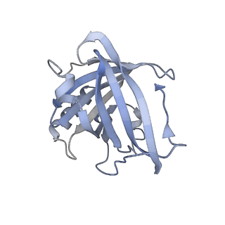 15781_8b0h_F_v1-1
2C9, C5b9-CD59 cryoEM structure