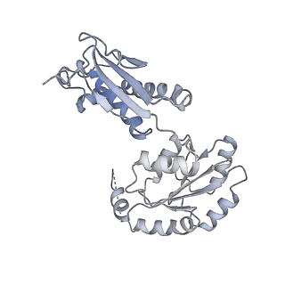 15784_8b0i_A_v1-3
CryoEM structure of bacterial RapZ.GlmZ complex central to the control of cell envelope biogenesis